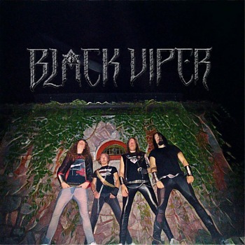 BLACK_VIPER_Band.jpg